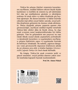 Güvencesizlik Çağında Türkiye'de Emek