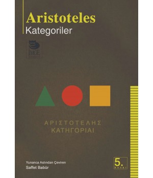 Kategoriler