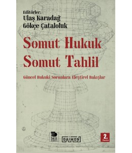 Somut Hukuk Somut Tahlil - Güncel Hukuk Sorunlarına Eleştirel Bakışlar