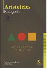 Kategoriler